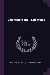 Caterpillars and Their Moths