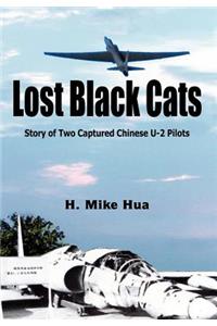 Lost Black Cats