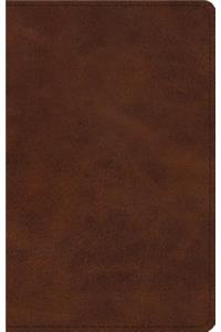 ESV Large Print Thinline Bible (Trutone, Deep Brown)