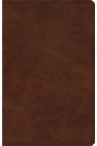 ESV Large Print Thinline Bible (Trutone, Deep Brown)