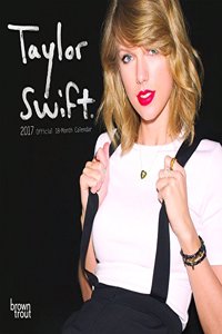 Taylor Swift 2017 Mini Wall