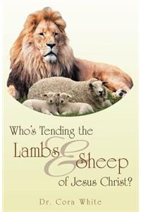 Who's Tending the Lambs & Sheep of Jesus Christ?