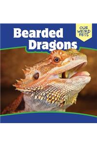 Bearded Dragons