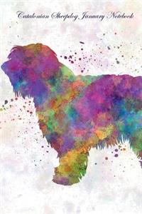 Catalonian Sheepdog January Notebook Catalonian Sheepdog Record, Log, Diary, Special Memories, To Do List, Academic Notepad, Scrapbook & More