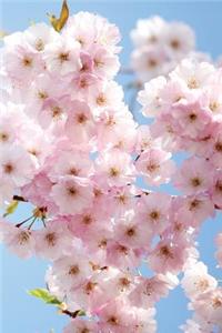 Asian Spring Blossoms Journal