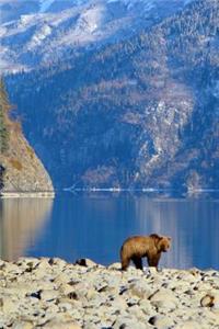 Brown Bear by a Mountain Lake
