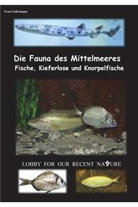 Die Fauna des Mittelmeeres