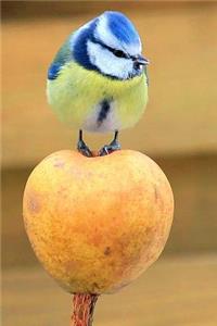 So Cute Blue Tit Bird Standing on an Apple Journal