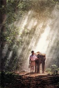 A Boy and His Elephant Thailand Journal