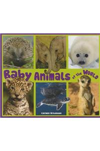 Baby Animals of the World