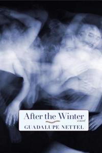 After the Winter: A Novel