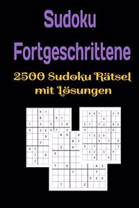 Sudoku Fortgeschrittene 2500 Sudoku Rätsel mit Lösungen