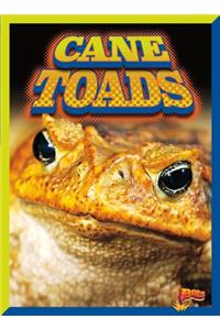 Cane Toads