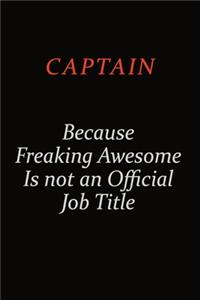 Captain Because Freaking Awesome Is Not An Official Job Title