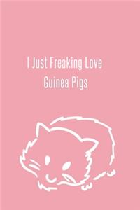 I Just Freaking Love Guinea Pigs