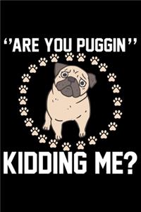 Are You Puggin Kidding Me?