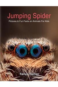 Jumping Spider