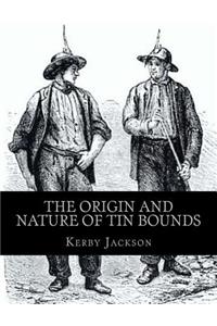 The Origin and Nature of Tin Bounds