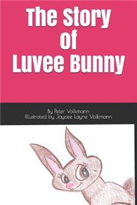 Story of Luvee Bunny