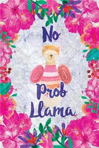 No Prob Llama