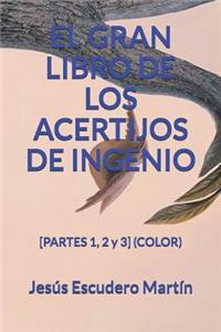 Gran Libro de Los Acertijos de Ingenio