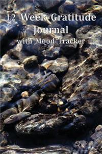 12 Week Gratitude Journal with Mood Tracker