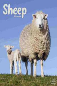 Sheep 2023 Wall Calendar