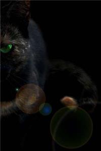 Black Cat Notebook
