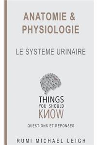 Anatomie et physiologie