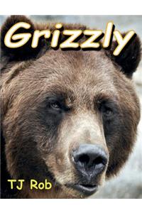 Grizzly