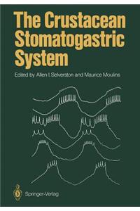 Crustacean Stomatogastric System