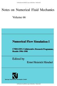 Numerical Flow Simulation