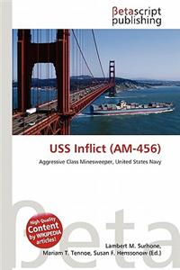 USS Inflict (Am-456)