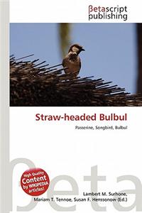Straw-Headed Bulbul