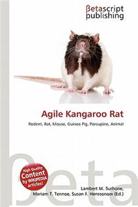 Agile Kangaroo Rat