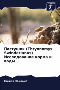 Пастушок (Thryonomys Swinderianus) Исследование корма и воды