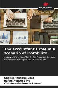 accountant's role in a scenario of instability