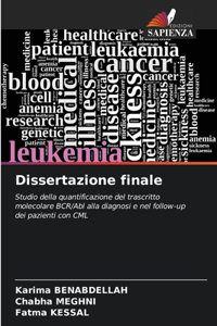 Dissertazione finale