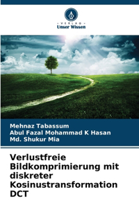 Verlustfreie Bildkomprimierung mit diskreter Kosinustransformation DCT