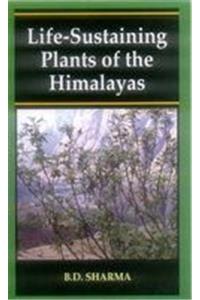 Life-Sustaining Plants Of The Himalayas