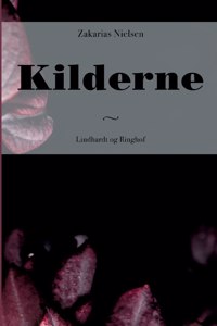 Kilderne