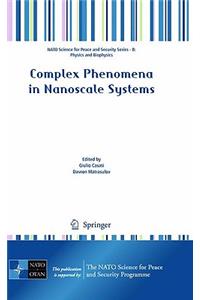 Complex Phenomena in Nanoscale Systems