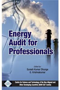 Energy Audit for Professionals/Nam S&T Centre