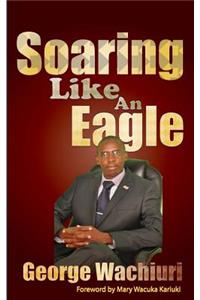 Soaring Like An Eagle