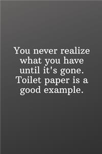 You never realize what you have until it's gone. Toilet paper is a good example.