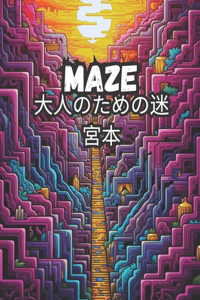 大人のための迷宮本 Maze