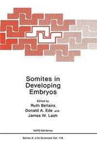 Somites in Developing Embryos