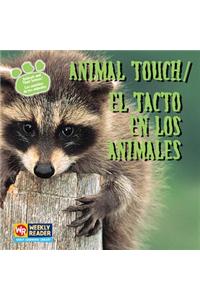Animal Touch / El Tacto En Los Animales