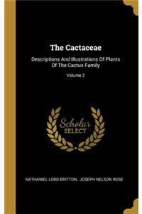 Cactaceae: Descriptions And Illustrations Of Plants Of The Cactus Family; Volume 2