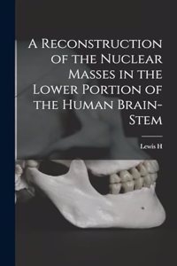 Reconstruction of the Nuclear Masses in the Lower Portion of the Human Brain-stem